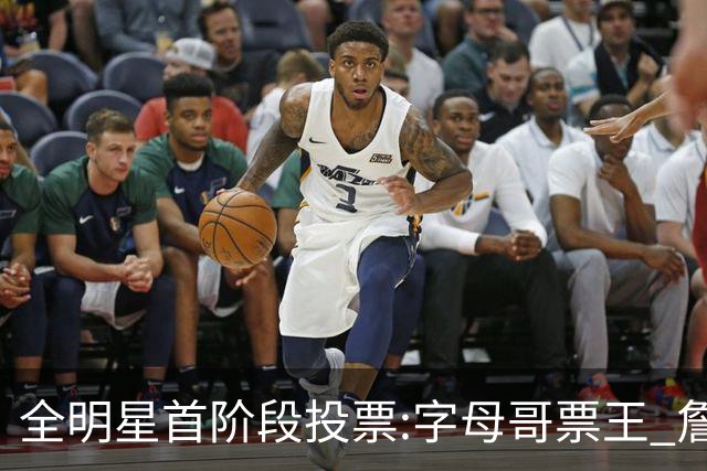 全明星首阶段投票:字母哥票王 詹姆斯西部票王